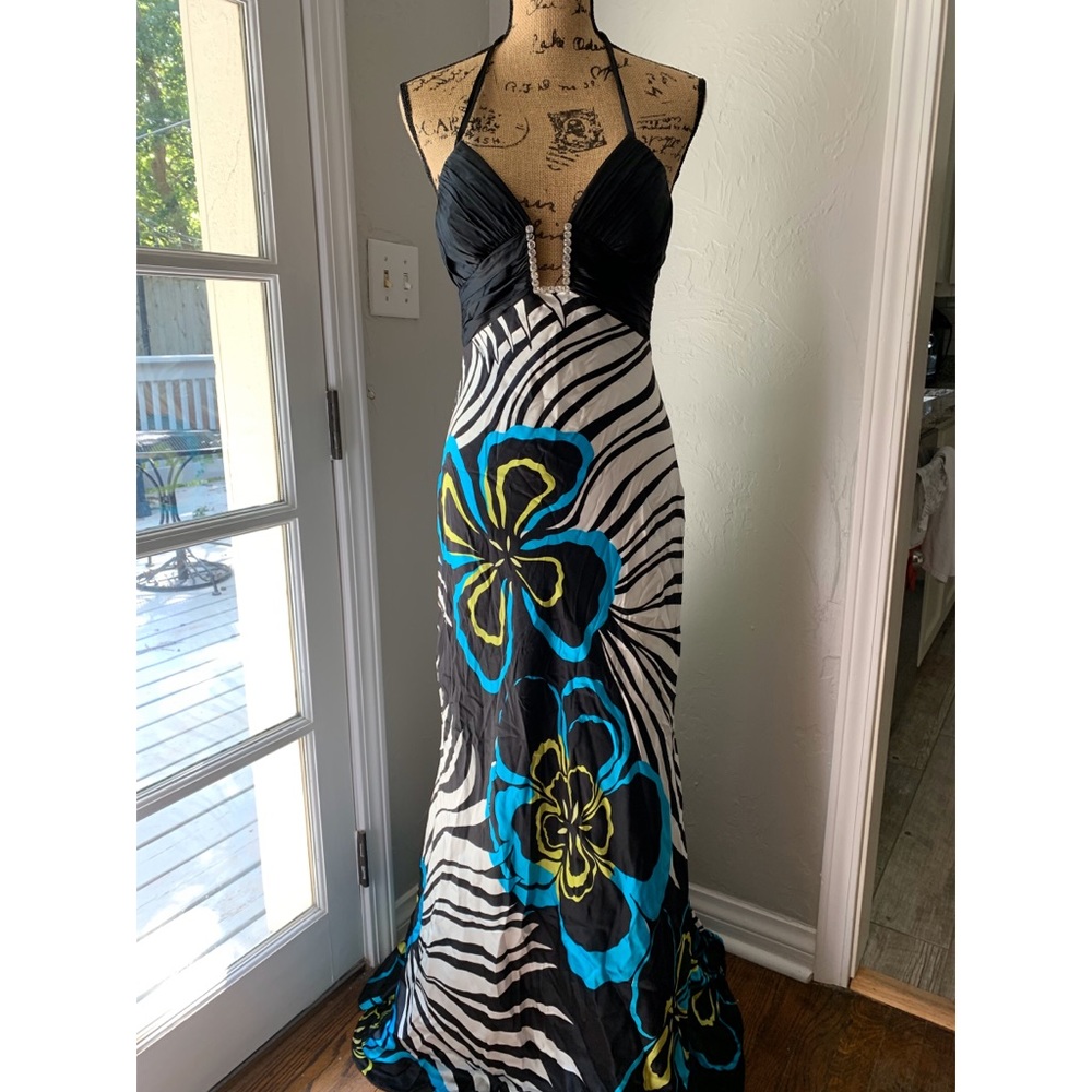 Cache Dress - Picture 2 of 5